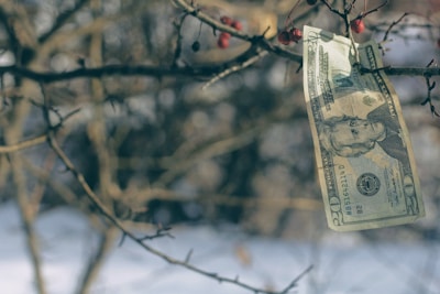 Whole Life Cash Value Growth Explained: Unlock Wealth Potential